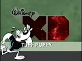 Wrighty XD Tuff Puppy WBRB And BTTS Bumpers 2011