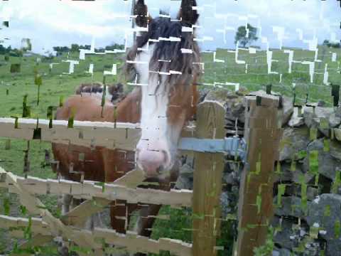 The styles of Ditch Jumping AWESOME RECALLS!!