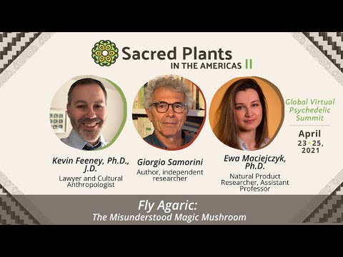 Fly Agaric: The Misunderstood Magic Mushroom | Sacred Plants II