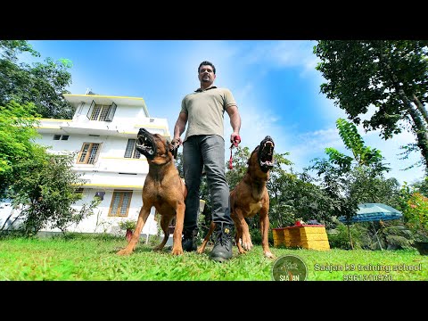 A companion dog trainer.