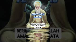 Download lagu PELET PALING AMPUH DARI SUKU DAYAK!!! JANGAN SALAH TARGET ‼️ mp3 Download lagu PELET PALING AMPUH DARI SUKU DAYAK!!! JANGAN SALAH TARGET ‼️ mp3