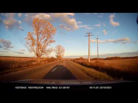 [DJ 795 - FULL] Salonta - Tinca - Vintere, Bihor, Romania [2021]