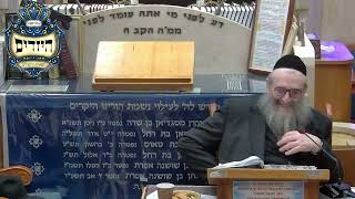 הרב יהושע ויזגן מסכת חולין דף עג עמוד א' (בית הכנסת מוסאיוף) - התמונה מוצגת ישירות מתוך אתר האינטרנט יוטיוב. זכויות היוצרים בתמונה שייכות ליוצרה. קישור קרדיט למקור התוכן נמצא בתוך דף הסרטון