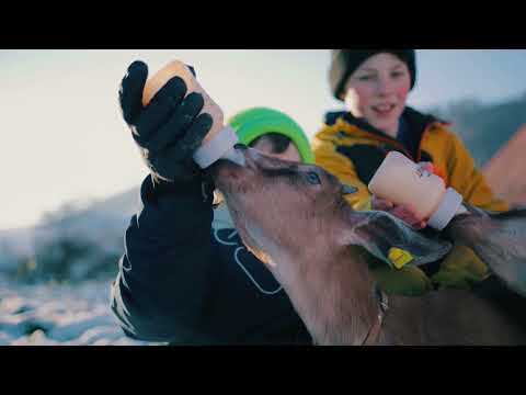 Emmi Bauernbotschafter - Familie Siegrist Teaser
