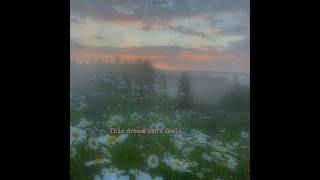 Ribs- Lorde (Lyrics)