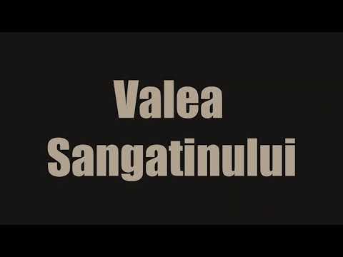 casa sat Sangatin, jud.Sibiu, cu teren1.93 Ha,comision 0 — Video