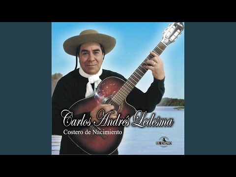 Soy Guitarrero Señor