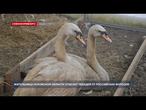 «Хорошие новости» от 18 февраля 2021 года