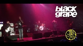 Black Grape - Reverend Black Grape, Live @ Shiiine On Weekender 2016