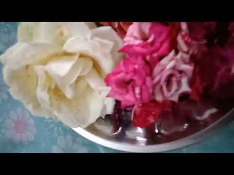 today flowers harvest 💐❣️🥰