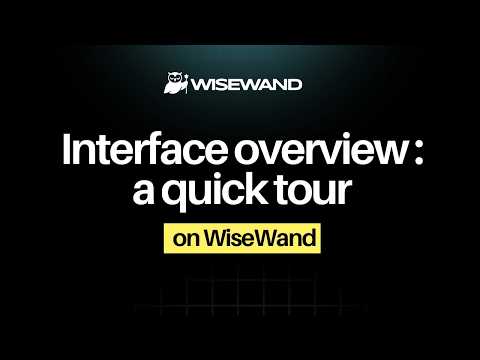 Wisewand video preview