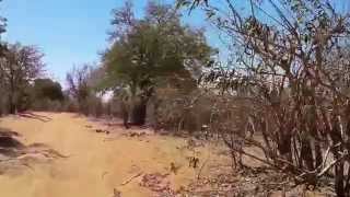 preview picture of video 'Driving in Chobe, Sandy Roads'