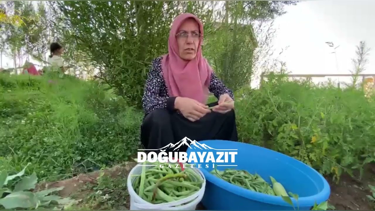 Patnos’ta köy bostanları kış sofraları için ürün veriyor
