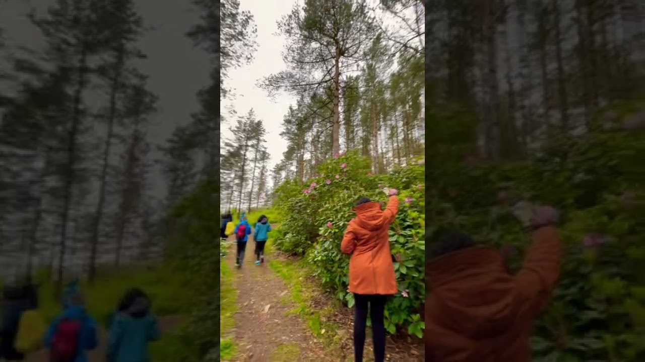 YouTube Short thumbnail