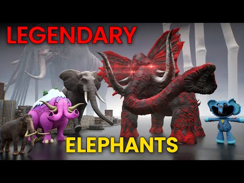 Meta Brains and MetaVine Labs