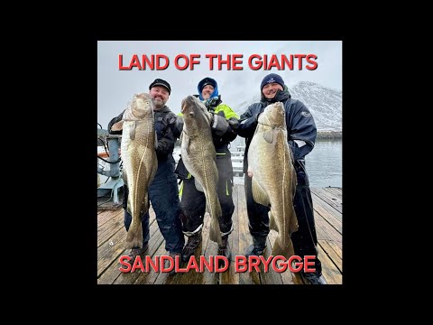COD FISHING IN NORWAY, LAND OF THE GIANTS, @Sandland_Brygge