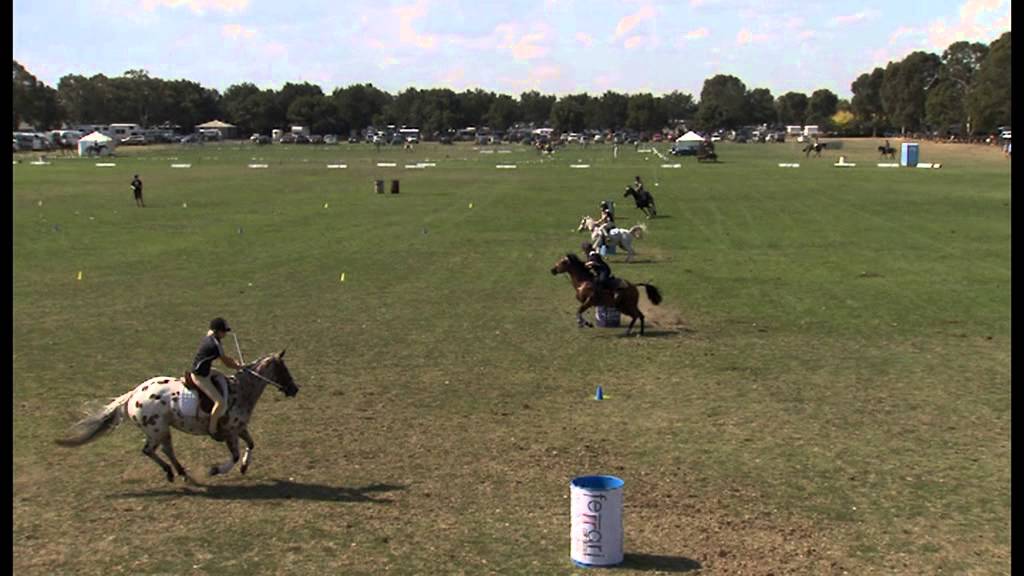 Sport Horse Racing Highlights