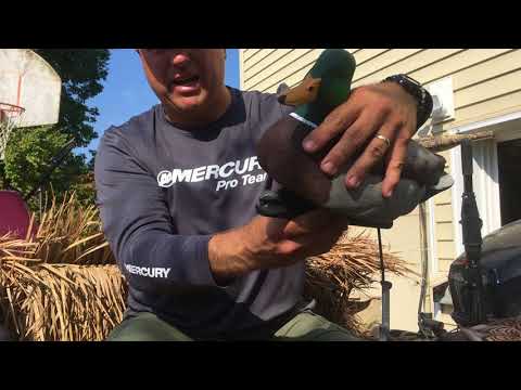 Avian X Duck Decoys Equipment Review