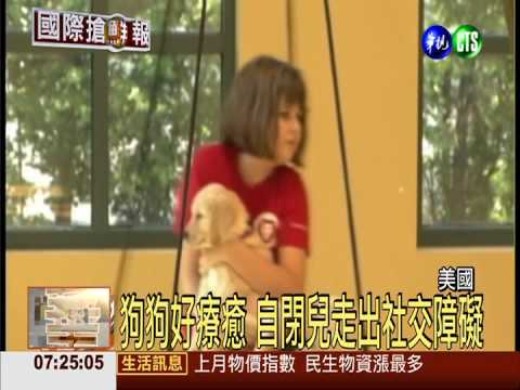 狗狗好療癒 自閉兒走出社交障礙