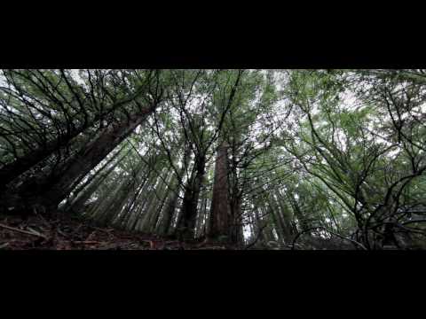 Martin Schulte - Pillow (Marko Fürstenberg Remix)