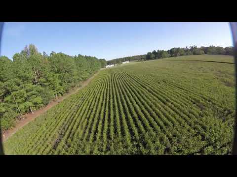 RMRC Recruit V2 wing.  My first wing ever