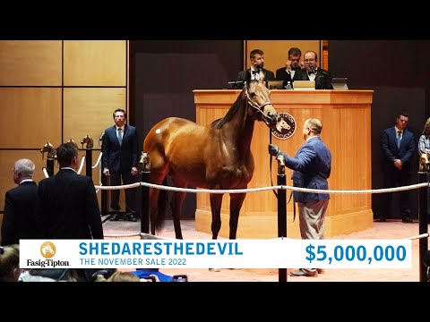 Shedaresthedevil sells for $5,000,000 at The November Sale (2022)