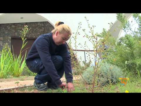 14/05/14 – Los 15 desempleados del Curso de Jardinería realizan un estanque en el CEM del Captivador