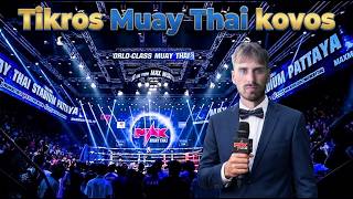 Tikros Muay Thai kovos Patajoje
