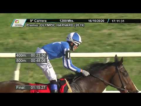 201016 c09 - PCOLIBRI 1° - HIPODROMO LAS PIEDRAS