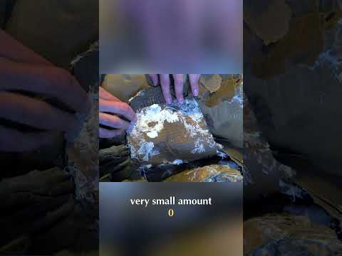 Effortless Mushroom Cultivation: Cardboard Layering Method #shorts