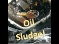 Engine Oil Sludge