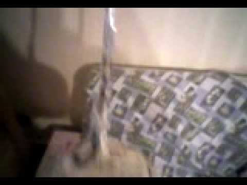 Bomba di maradona By Makko