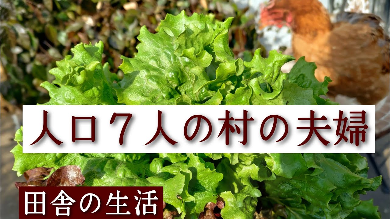 人口７人の村/つれあい/田舎の暮らし