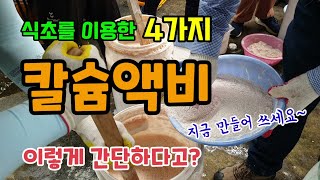 식초로 4가지 친환경 칼슘액비 만들기 패화석, 난각(계란껍질분말), 조개껍질, 골분을 이용한 칼슘제 만들기