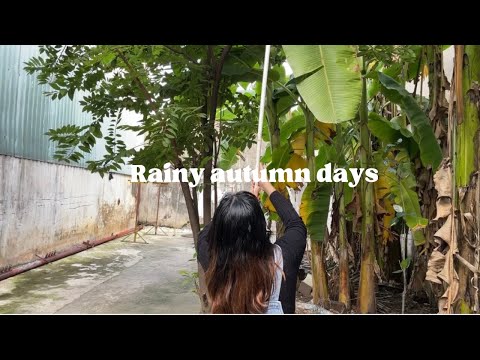 Dias chuvosos de outono | Fazendo crepes vietnamitas escaldantes.