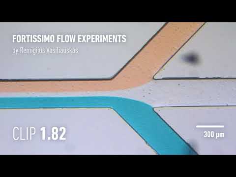 Fortissimo flow experiments