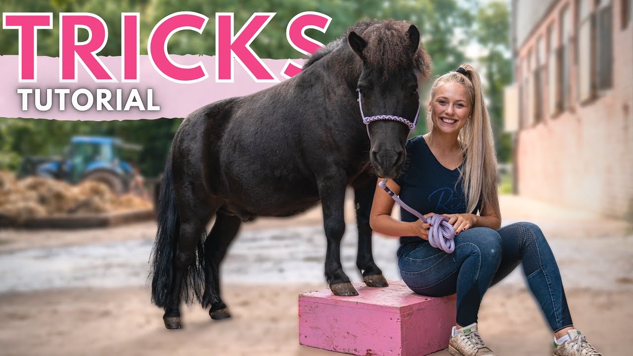 ALLE TRICKS - mit Erklärung