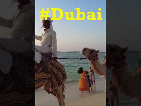 Dubai 🇦🇪 ❤️ JBR beach #shorts #dubai #youtubeshorts #jumeirahbeachresidence