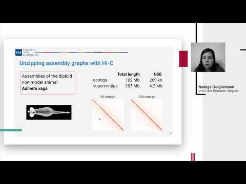 N. Guiglielmoni, "Hic2gfa: phasing assembly graphs with chromosome conformation capture"