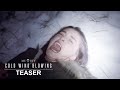 Teaser