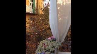 Giulietta Romeo  Bed And Breakfast In Adigetto