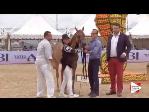 Most Beautiful Head Award - Class 1B - N. 27