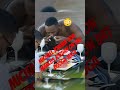 Marcus Jordan Michael Jordan Son SNIFFING COKE Trending Funny Nba Basketball
