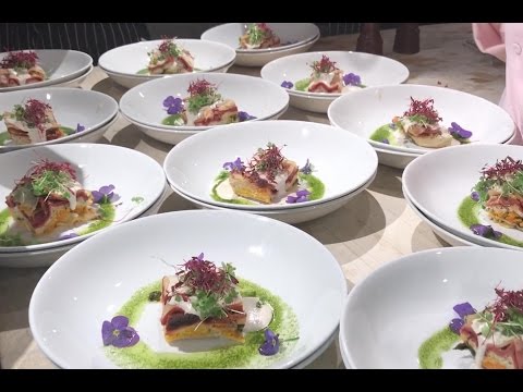 download lagu mp3 mp4 Vegetarian First Course Recipes, download lagu Vegetarian First Course Recipes gratis, unduh video klip Vegetarian First Course Recipes
