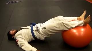preview picture of video 'Jiu Jitsu MMA Conditioning drill Clayton NC'