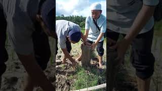 Download lagu Makam kuno peninggalan Islam mp3