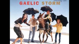 Gaelic Storm - The park east polkas