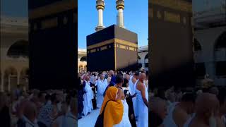 Ya Rabbal Alamin Allahu Allah #viralvideo #saudiarabia #shorts #trending #madina #makkah #naat