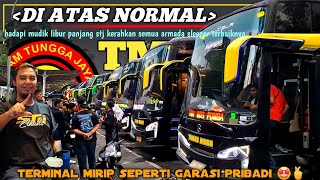 Download lagu MEMBARA🔥🔥TERMINAL SERASA PARKIRAN PRIBADI,STJ GROUP TURUNKAN SEMUA ARMADA SLEEPER😎😱 mp3