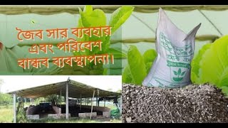 জৈব সার ব্যবহার এবং পরিবেশ বান্ধব ব্যবস্থাপনা।